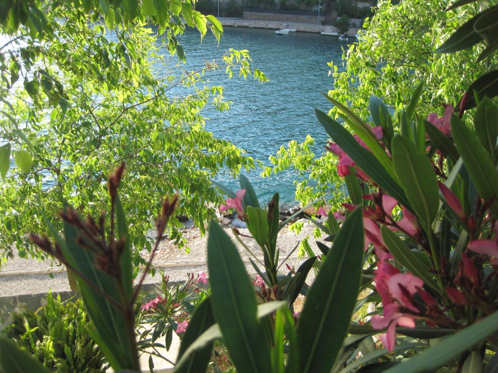 נאום Villa Obad Guest House מראה חיצוני תמונה